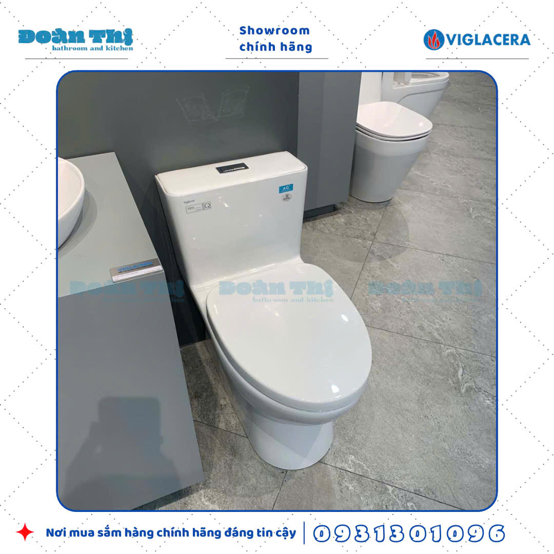 Bồn cầu 1 khối Viglacera V808 men Nano liền khối và vòi xịt VG826