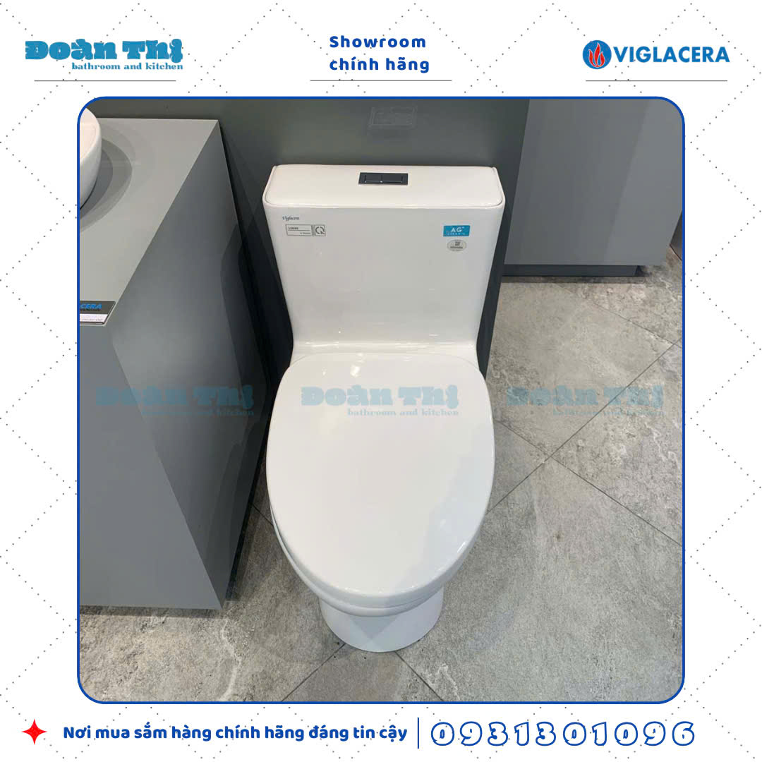 Bồn cầu 1 khối Viglacera V808 men Nano liền khối và vòi xịt VG826