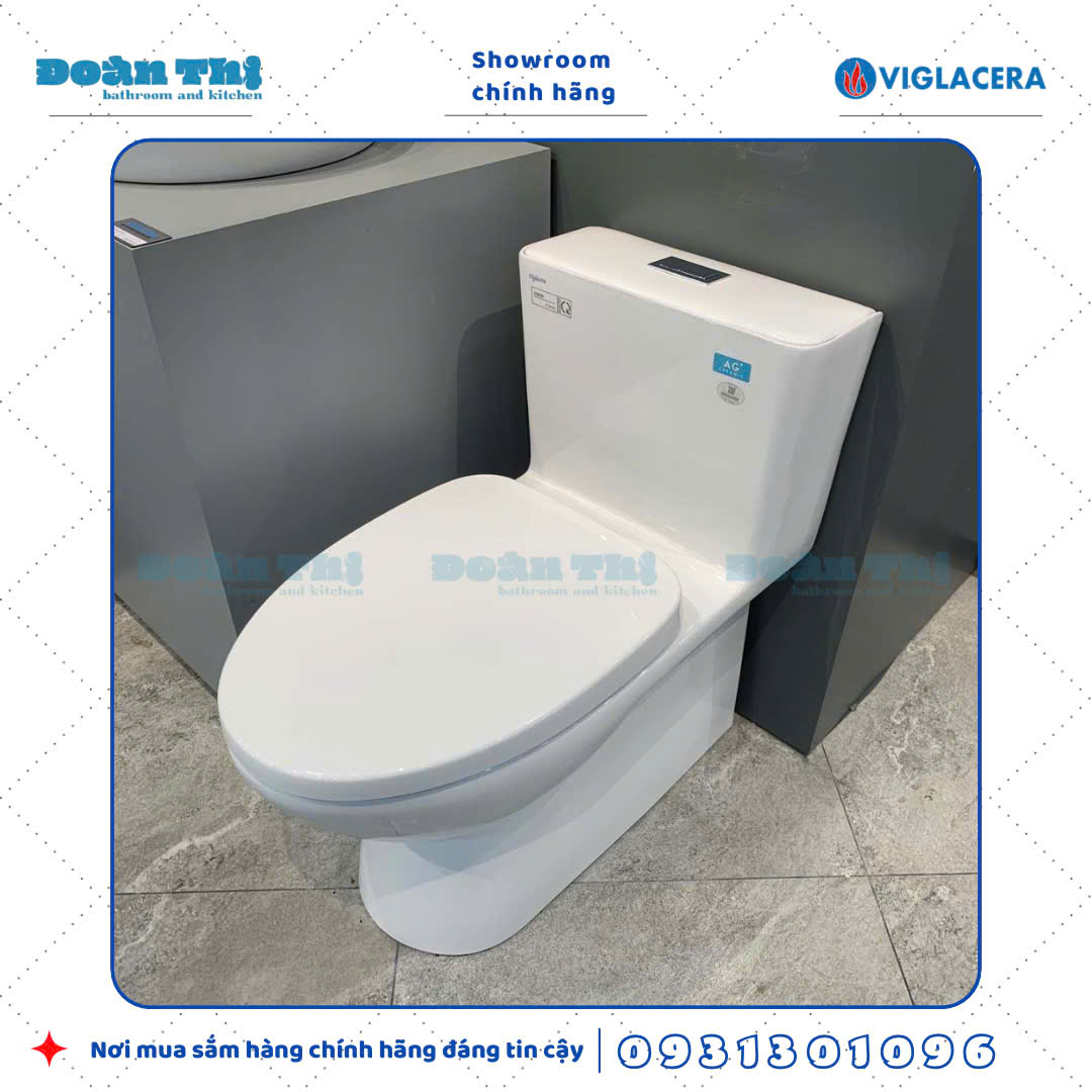 Bồn cầu 1 khối Viglacera V808 men Nano liền khối và vòi xịt VG826