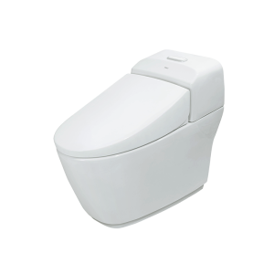 Bồn Cầu 1 Khối INAX AC-1032VN